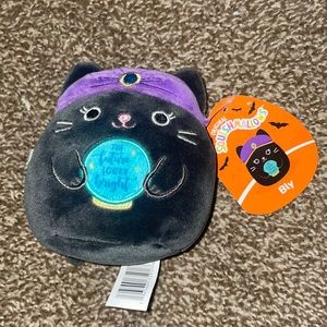 Bly the fortune teller cat